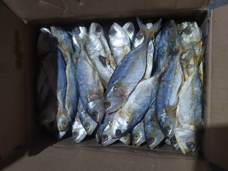 ikan asin peda